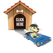 Altamonte Car Wash